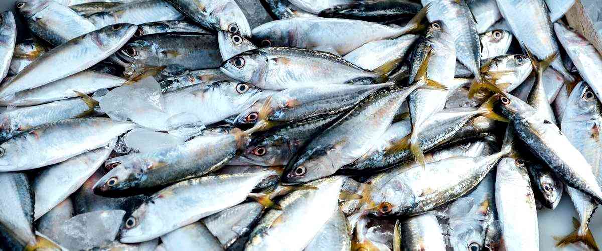 2. ¿Cuál es la calidad de los peces que venden en los establecimientos de Almería?