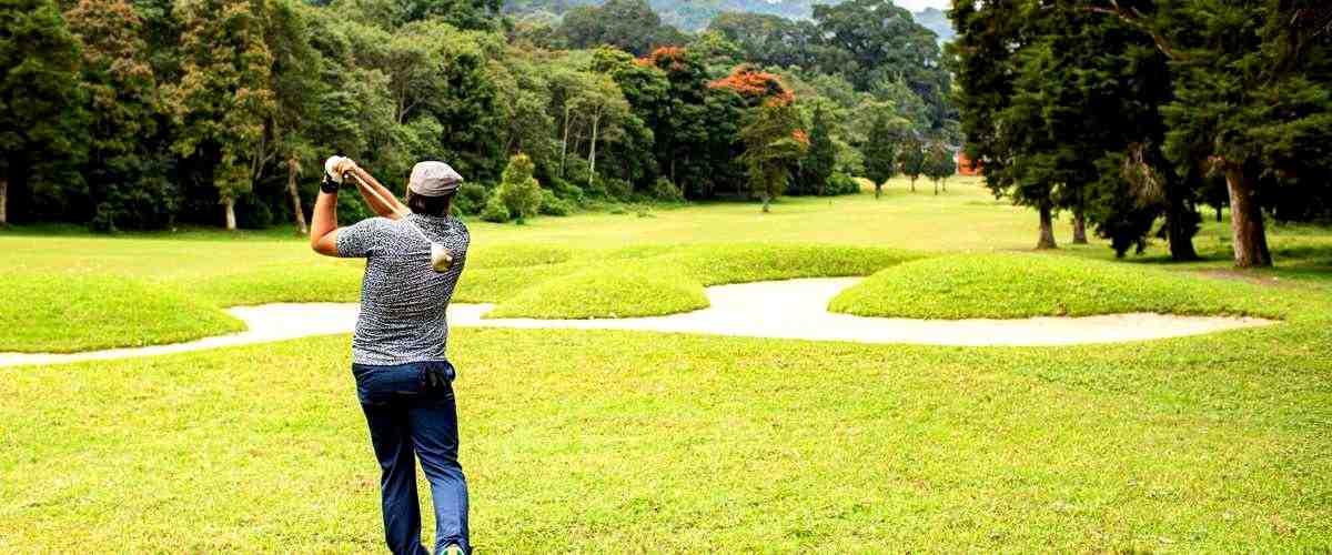 2. ¿Cuáles son los precios medios de los servicios de minigolf en San Fernando?