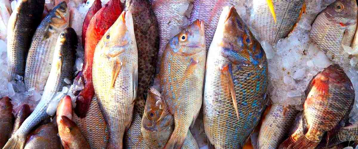 2. ¿Cuáles son los precios medios para la compra de peces en las tiendas de Álava?