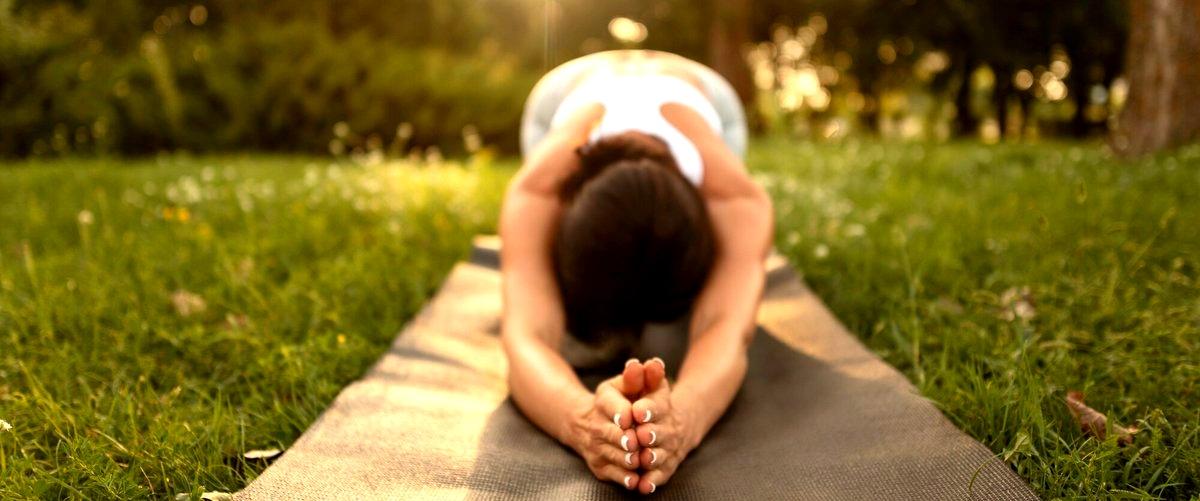 2. ¿Cuáles son los precios promedio de las clases de yoga en Toledo?