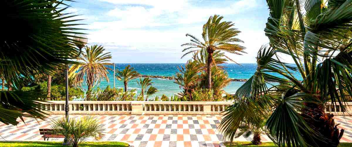 2. ¿Cuánto cuesta en promedio contratar los servicios de una empresa de poceros en Marbella?