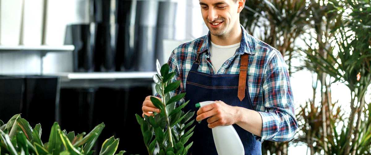 3. ¿Cuánto cuesta en promedio contratar a una empresa de jardinería en Barakaldo?