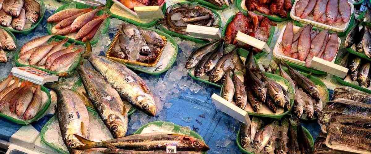 3. ¿Qué tipos de peces se pueden encontrar en las tiendas de Huesca?