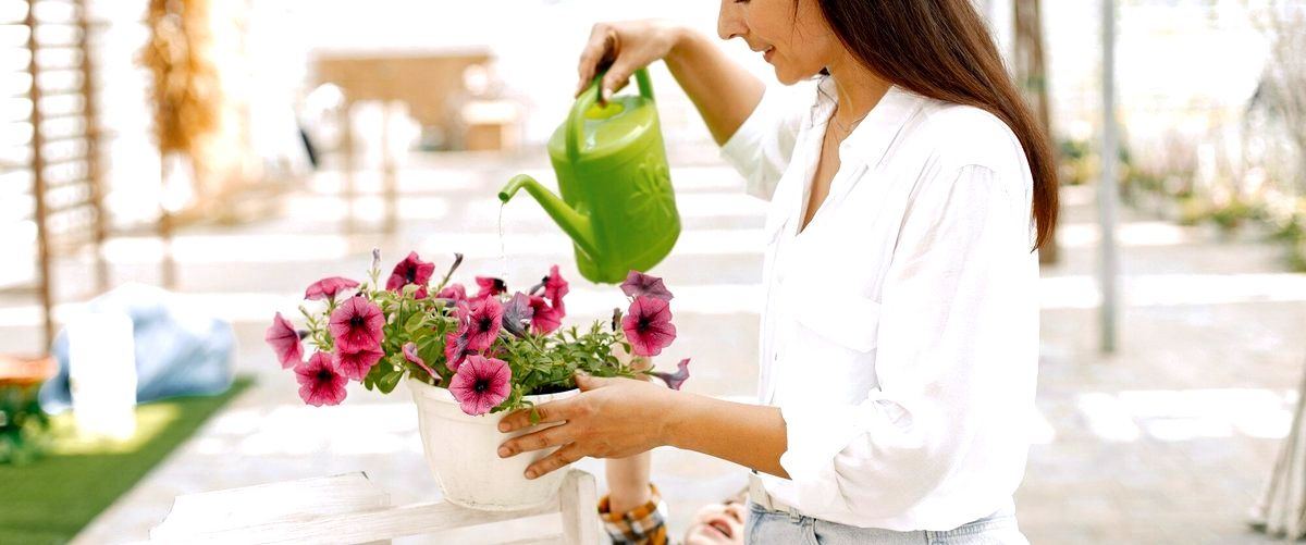 3. ¿Se ofrecen servicios de entrega a domicilio en las tiendas de flores de Cuenca?