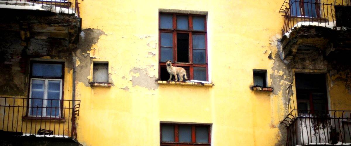 4. ¿Qué medidas de seguridad y cuidado se implementan en las residencias para garantizar el bienestar de los residentes?