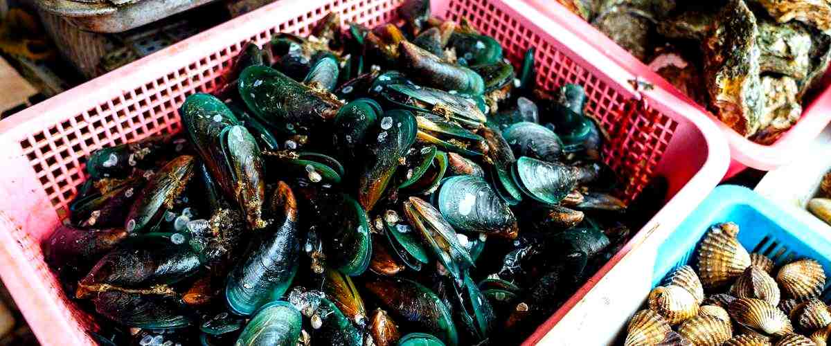 ¿Cómo puedo contactar a las empresas de mejillones en Santander?