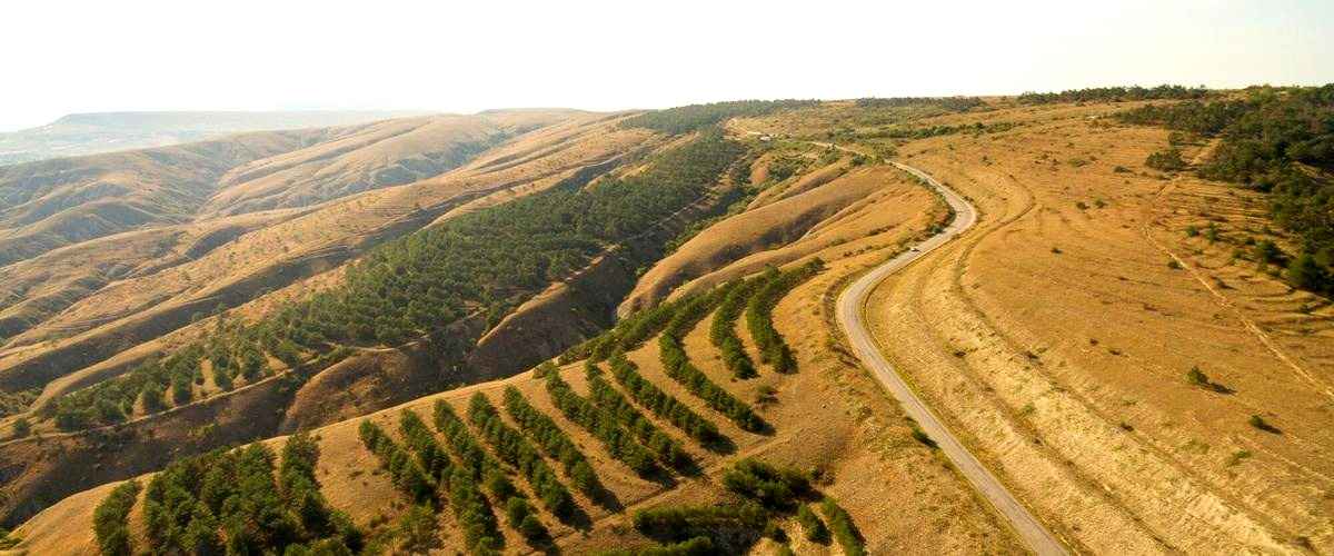 ¿Cómo puedo contactar a una empresa de transporte en La Rioja?