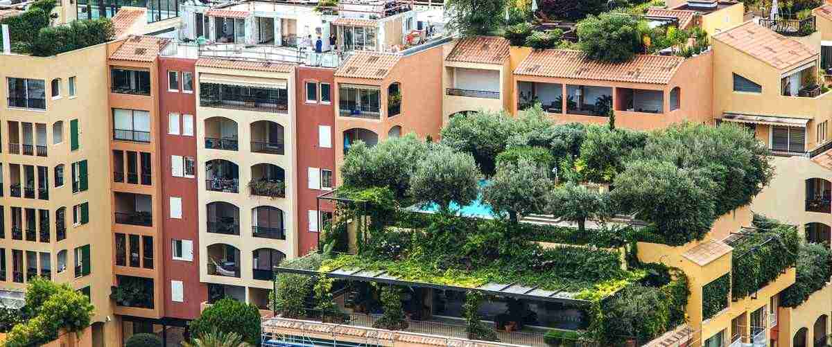 ¿Cómo puedo determinar si una agencia inmobiliaria es confiable y ofrece un buen servicio en Málaga?