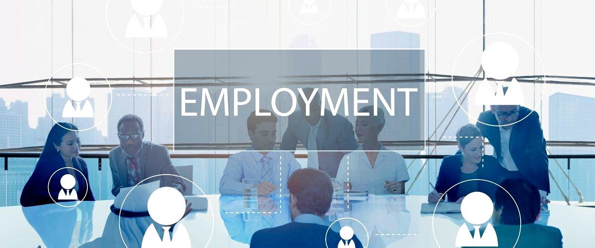 ¿Cómo puedo encontrar empleo a través de una empresa de empleo en Zamora?