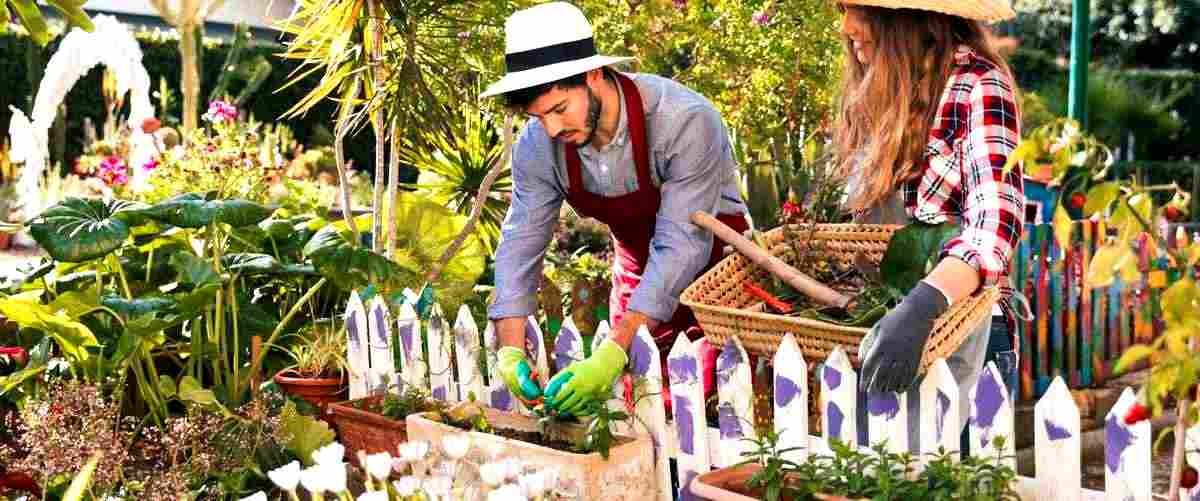 ¿Cómo puedo mantener mi jardín en buen estado entre visitas de la empresa de jardinería?