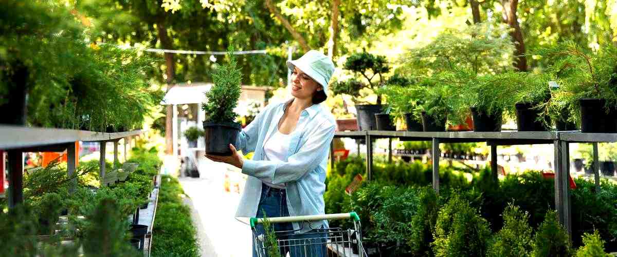 ¿Cómo puedo solucionar problemas comunes en el césped de mi jardín en Parla (Madrid)?