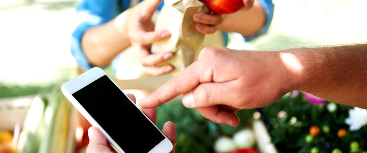 ¿Cómo se compran las frutas y las verduras en las fruterías online a domicilio en Toledo?