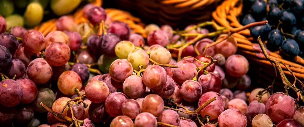 ¿Cómo se pueden adquirir frutas y verduras de manera online en Navarra?