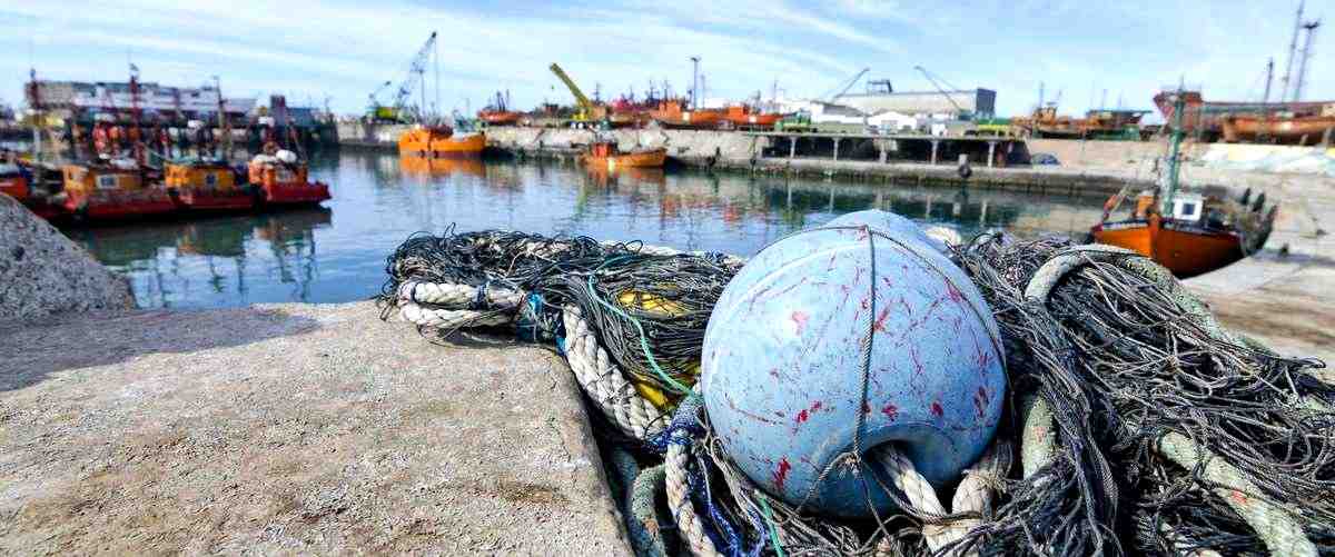 ¿Cómo se seleccionan y preparan los mejillones en estas empresas?