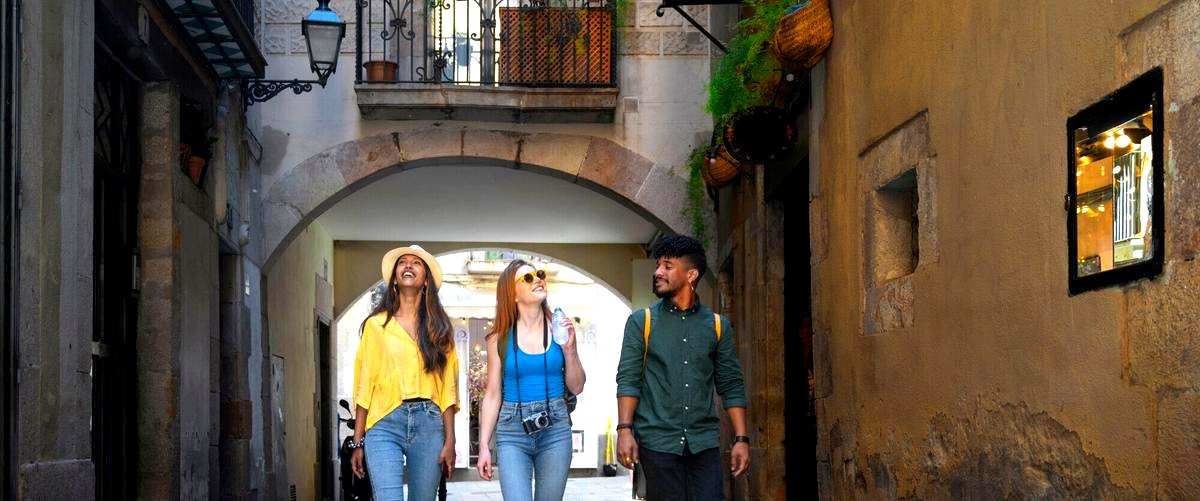 ¿Cómo se utiliza la información obtenida de un estudio de mercado en Barrio Cantabria? ¿Cómo se utiliza la información obtenida de un estudio de mercado en Barrio Cantabria?