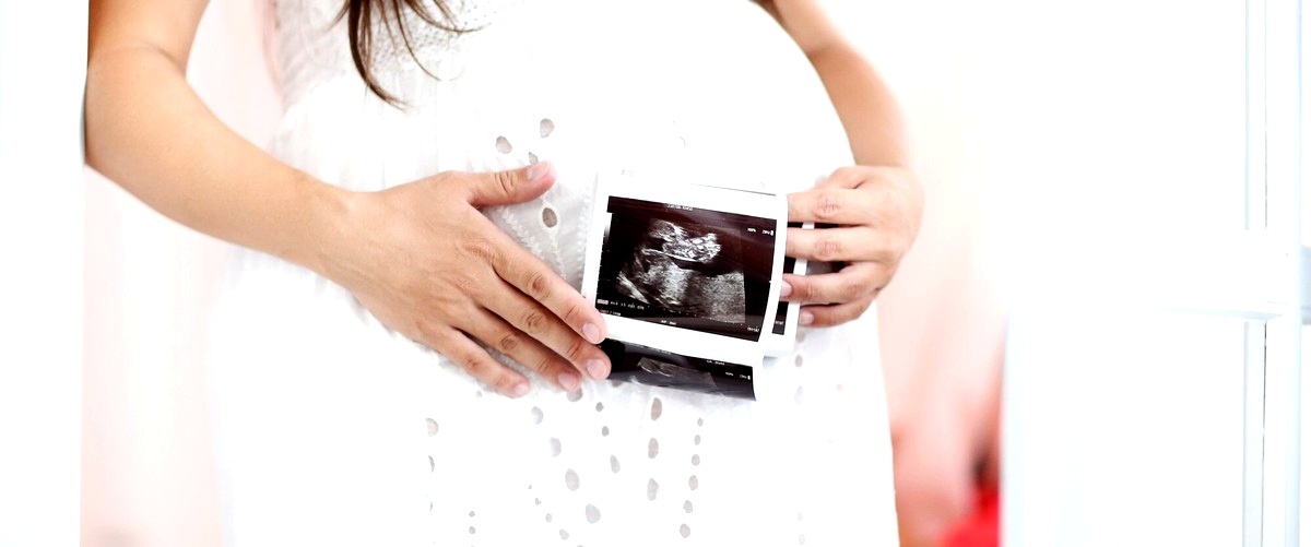 ¿Cuál es el precio aproximado de una inseminación in vitro en Córdoba?