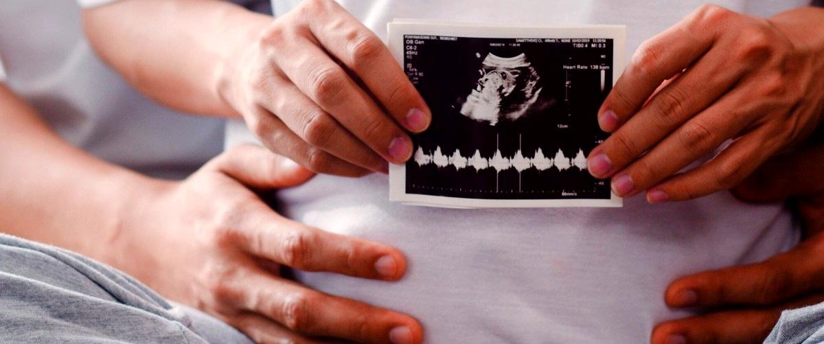 ¿Cuál es el precio de una inseminación artificial en Madrid?