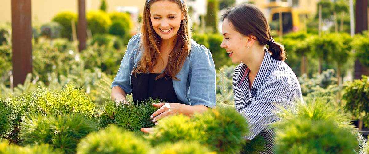 ¿Cuál es el precio promedio de contratar a un jardinero profesional?