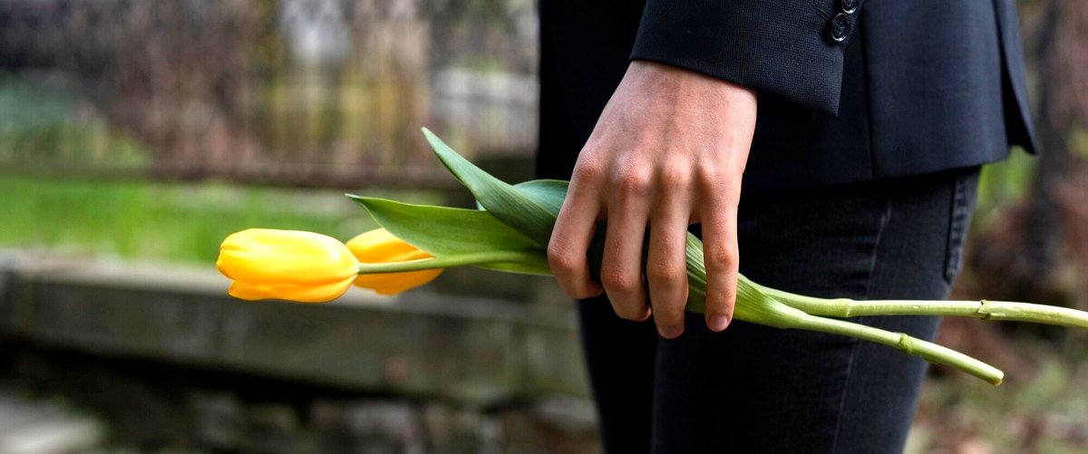 ¿Cuál es el precio promedio de un servicio funerario en Sabadell?