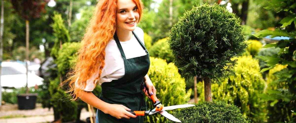 ¿Cuál es el precio promedio de un trabajo de jardinería en Madrid?