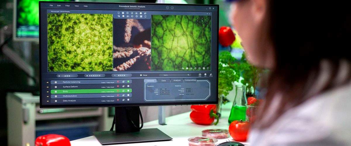 ¿Cuál es el impacto de la biotecnología en el sector empresarial de Bilbao (Vizcaya)?