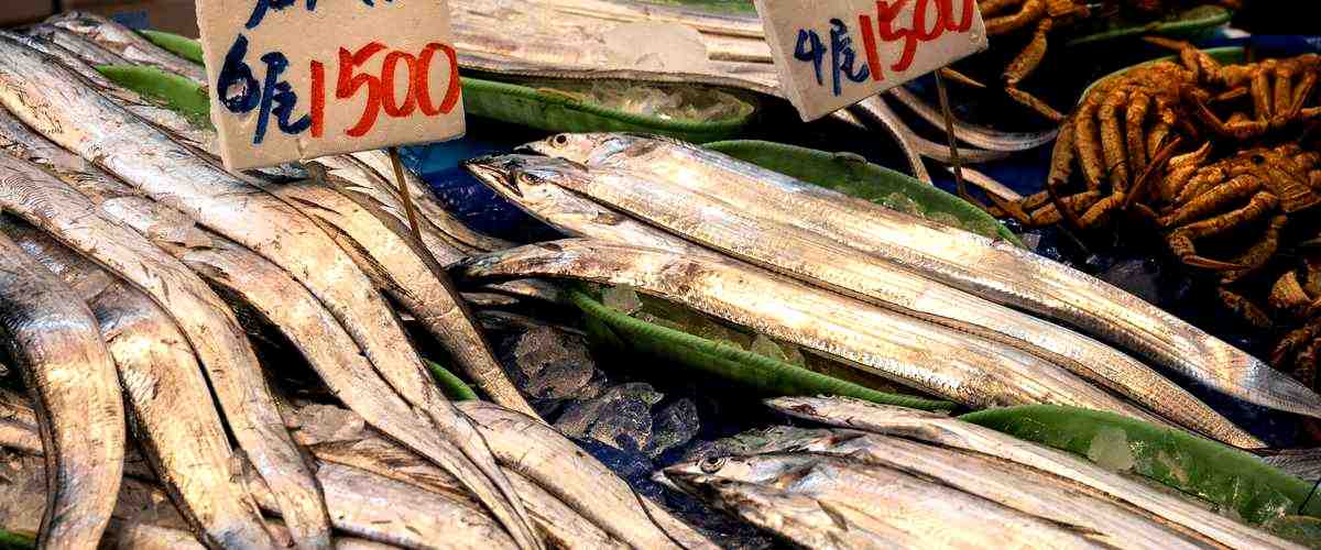 ¿Cuál es el mejor alimento para peces que se puede encontrar en Jerez de la Frontera?
