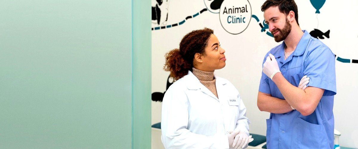 ¿Cuál es el mejor veterinario en Guipúzcoa?