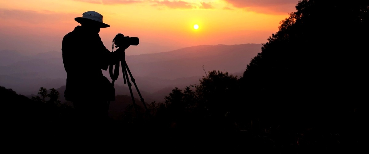 ¿Cuál es el precio medio de contratar un fotógrafo en Soria?