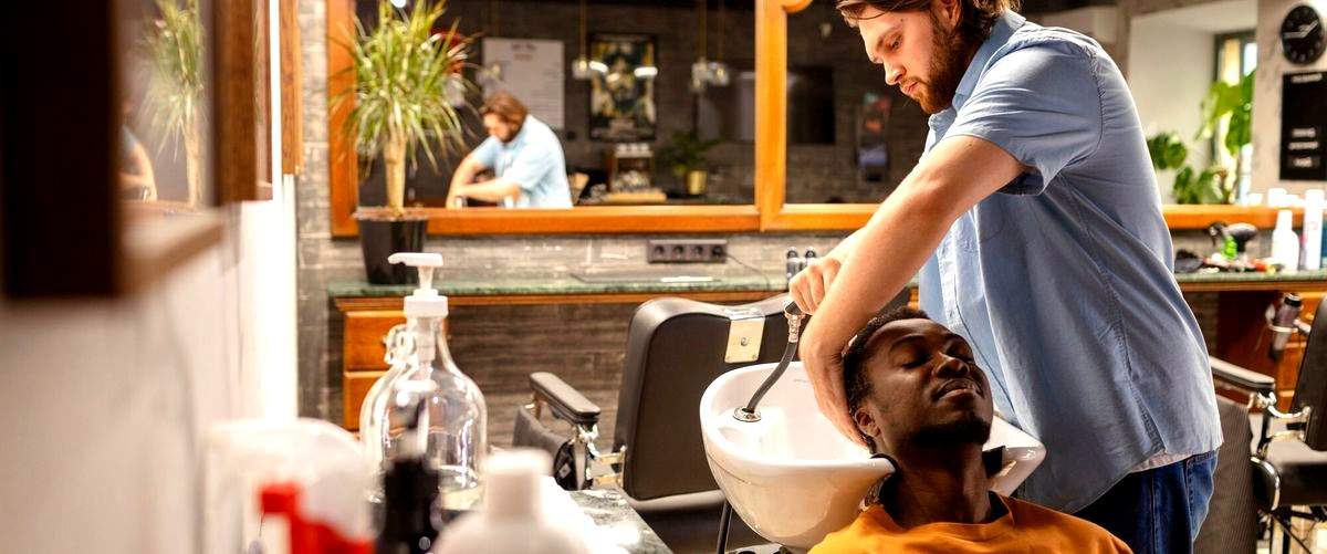 ¿Cuál es el precio medio de corte de pelo en las peluquerías de Ciudad Real?