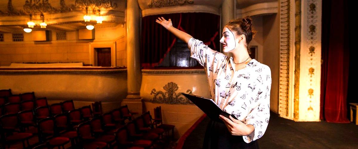 ¿Cuál es el precio medio de las entradas para los espectáculos en los teatros de Lérida? ¿Cuál es el precio medio de las entradas para los espectáculos en los teatros de Lérida?