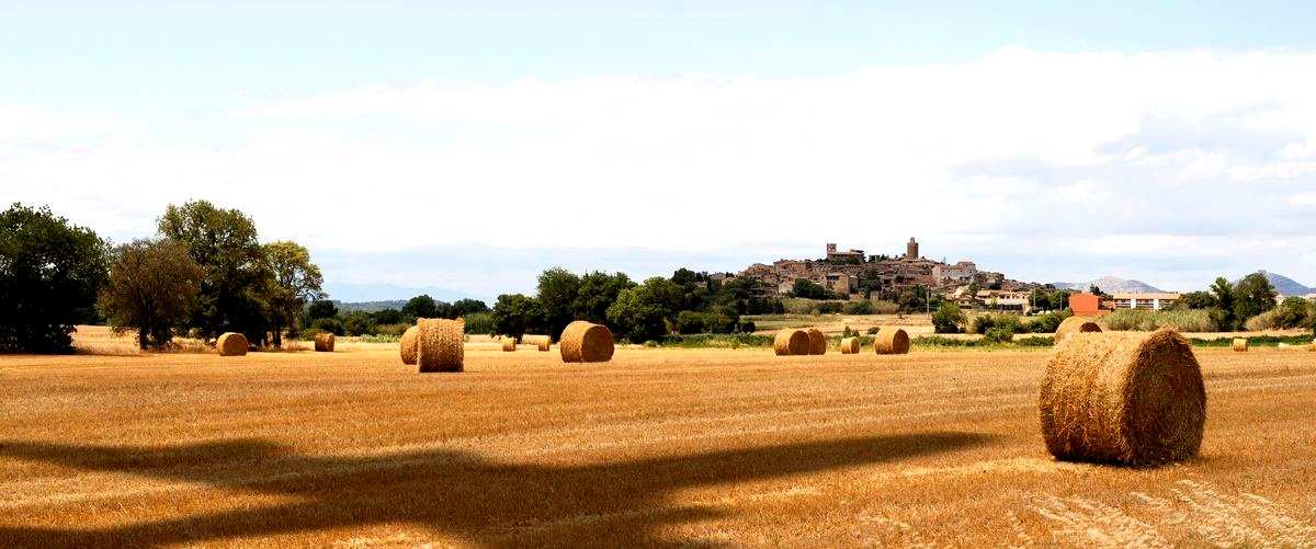 ¿Cuál es el precio medio de un menú en una arrocería en Teruel?