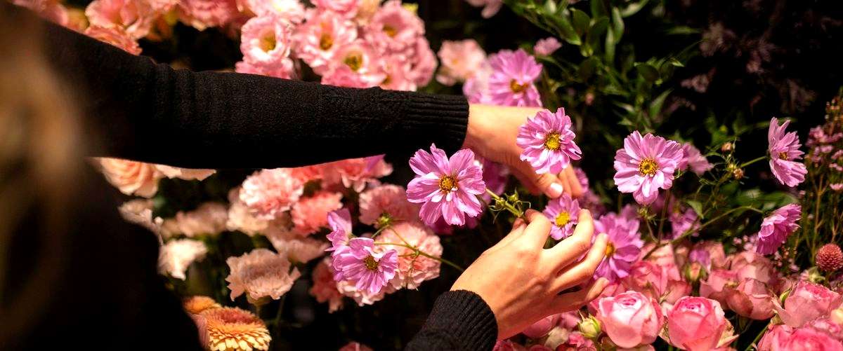 ¿Cuál es el precio medio de un ramo de flores en las floristerías de Las Palmas de Gran Canaria?