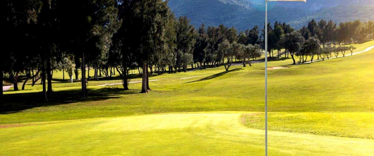 ¿Cuál es el precio medio para jugar una partida de minigolf en Lorca?