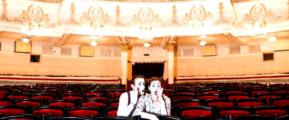 ¿Cuál es el precio promedio de las entradas para los espectáculos de teatro en Mataró?