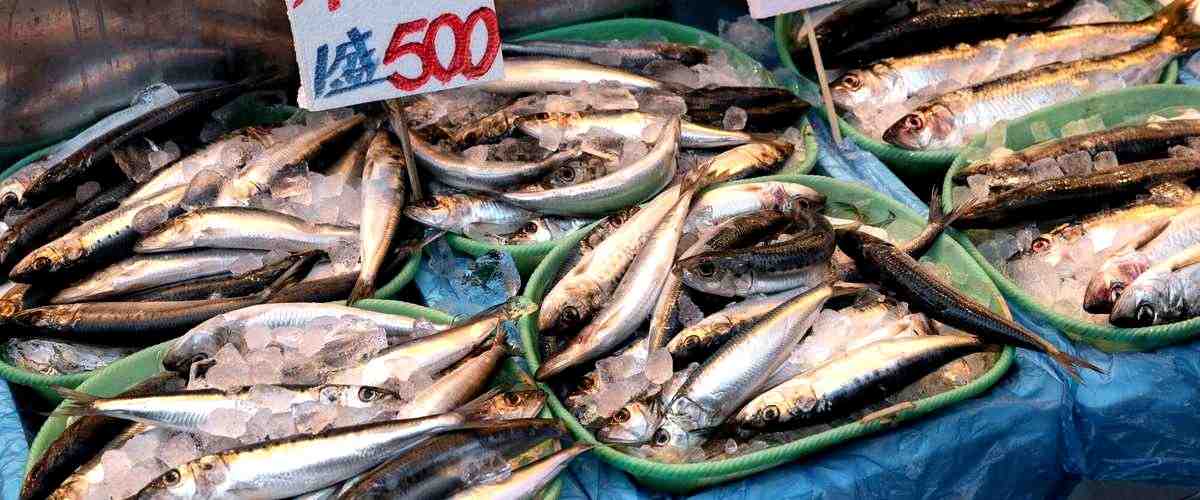 ¿Cuál es el precio promedio de los peces en las tiendas de peces en Toledo?