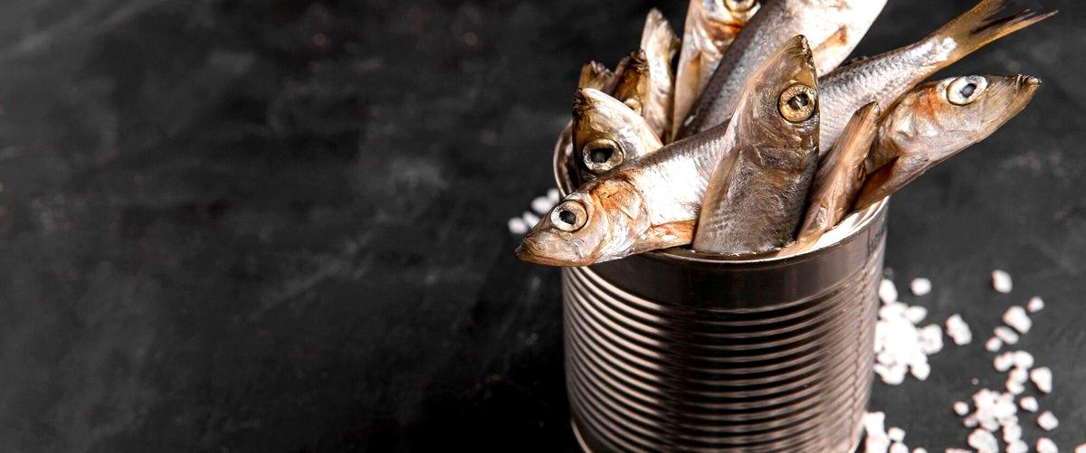 ¿Cuál es el precio promedio de los peces en las tiendas de Torrejón de Ardoz?