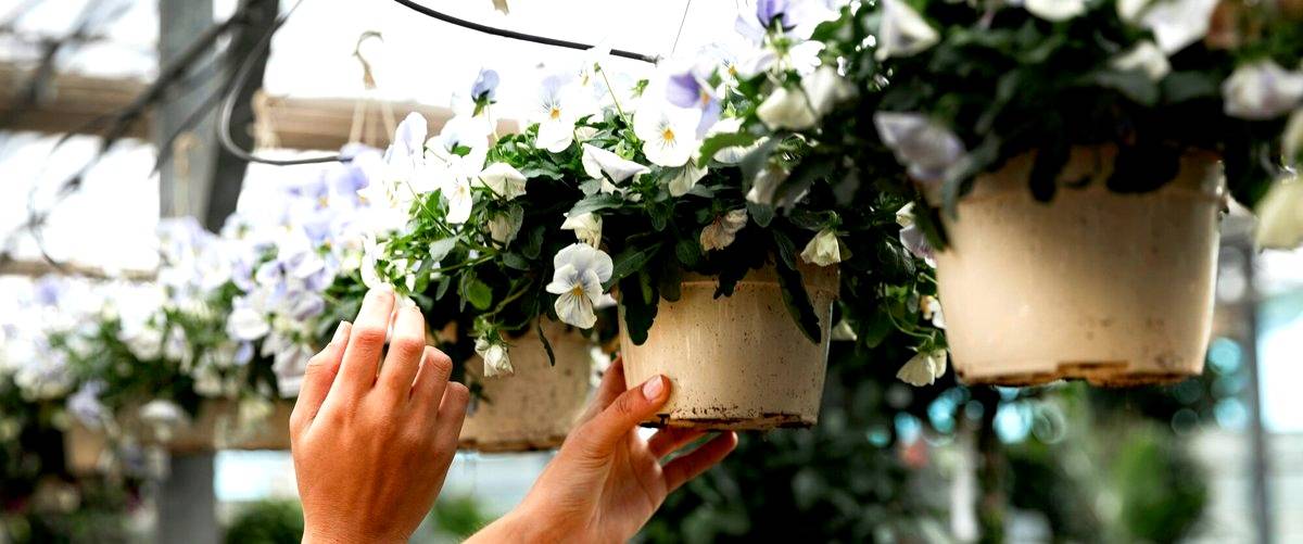 ¿Cuál es el precio promedio de un arreglo floral en una floristería en Alcorcón?