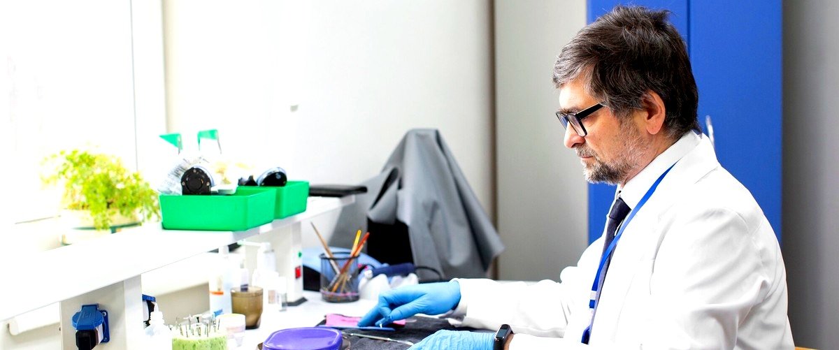 ¿Cuál es el proceso de desarrollo de productos biotecnológicos en estas empresas?