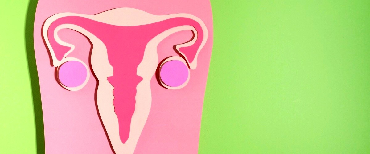 ¿Cuál es el proceso de selección de donantes de óvulos y esperma en los centros de reproducción asistida en Jaén?