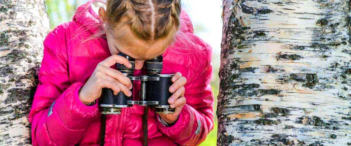 ¿Cuál es el rango de precios promedio de los servicios de fotografía en Álava?