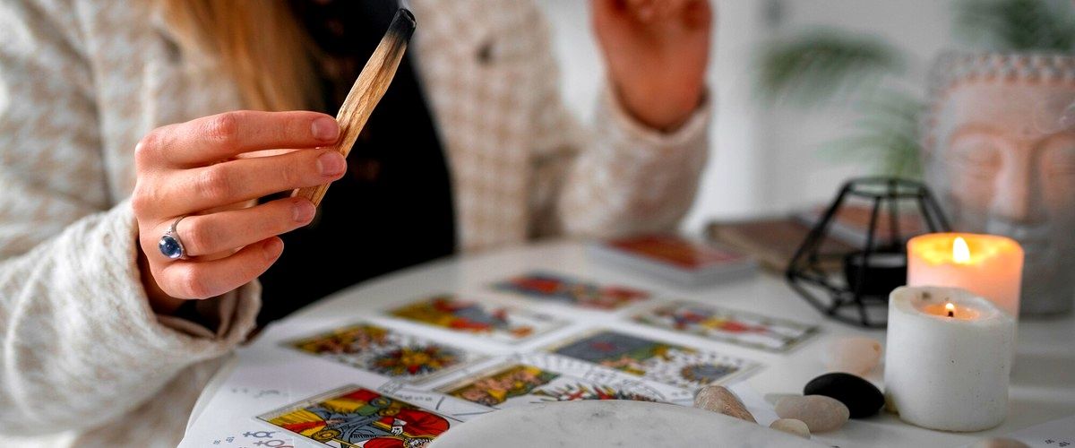 ¿Cuál es el término utilizado para referirse a la persona que realiza lecturas de cartas de tarot en Palma de Mallorca (Baleares)?