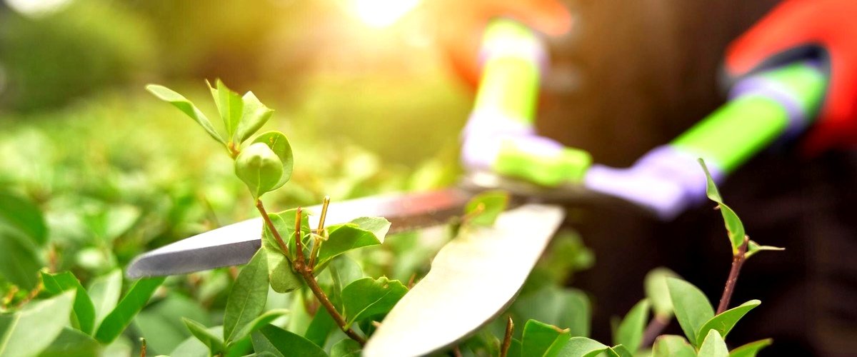 ¿Cuál es el tiempo estimado de duración de un trabajo de jardinería en Coruña?