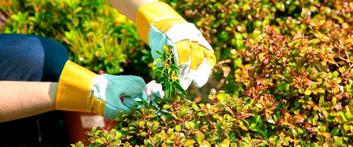 ¿Cuál es el tipo de trabajo que implica la jardinería?