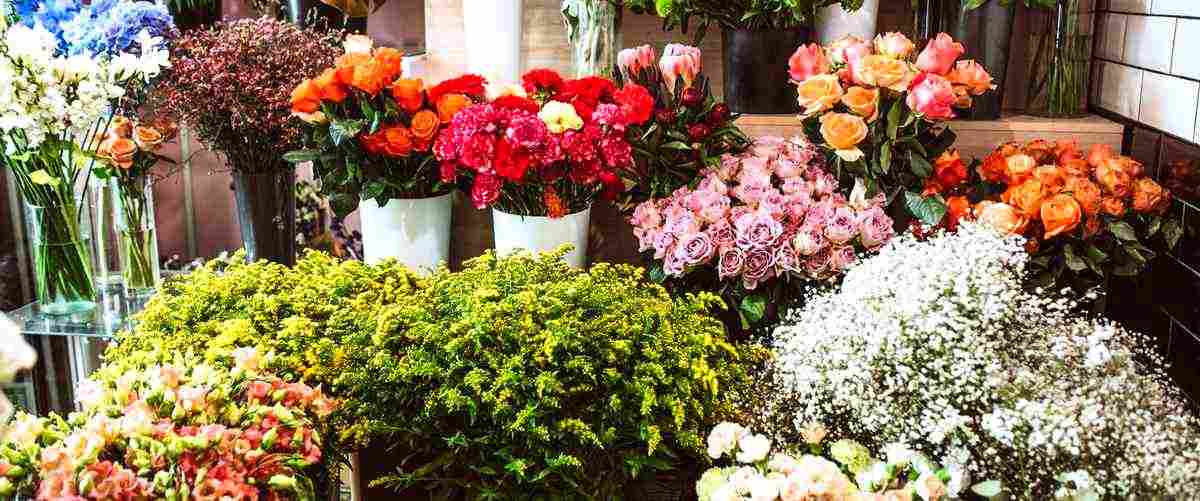 ¿Cuál es la diferencia entre flores y floristerías?