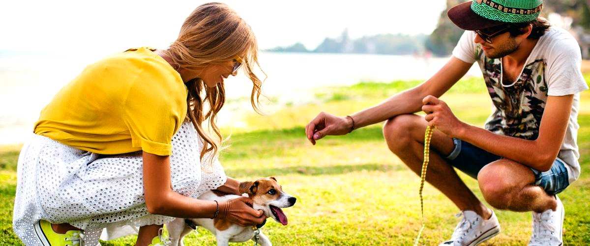 ¿Cuál es la diferencia entre un adiestrador canino y un educador canino en Santander (Cantabria)?