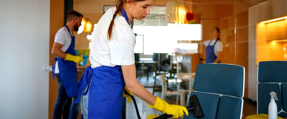 ¿Cuál es la diferencia entre una empresa de limpieza y una empleada doméstica?
