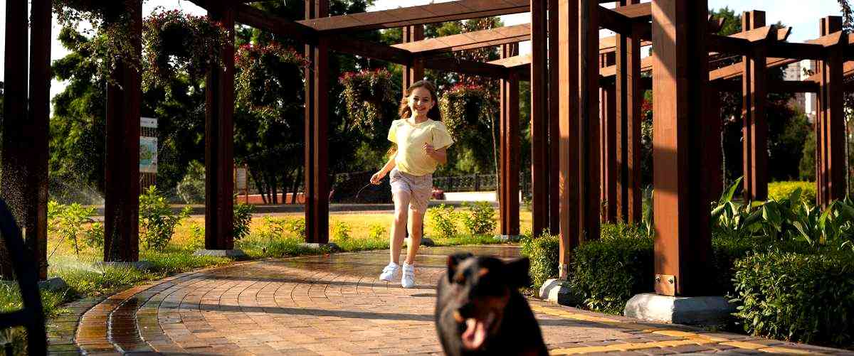 ¿Cuál es la duración promedio de un curso de adiestramiento canino?