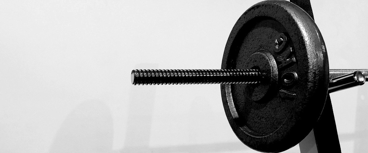 ¿Cuál es la empresa de ascensores más grande en Álava?