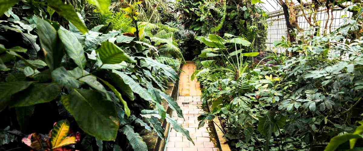 ¿Cuál es la forma de pago para un servicio de jardinería?