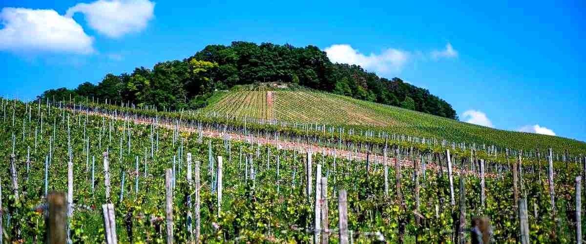 ¿Cuál es la función de una empresa de prevención de riesgos en La Rioja?